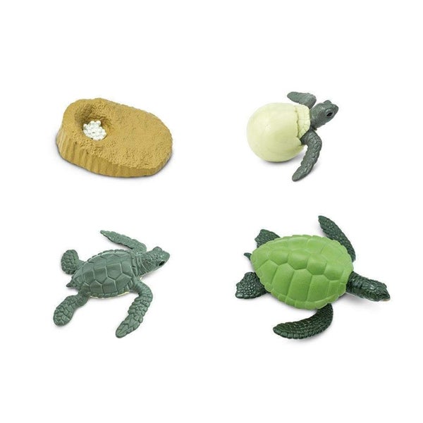 Safari Ltd Life Cycle of a Green Sea Turtle Carousel 2