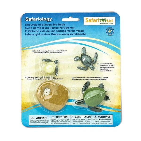 Safari Ltd Life Cycle of a Green Sea Turtle Carousel 3