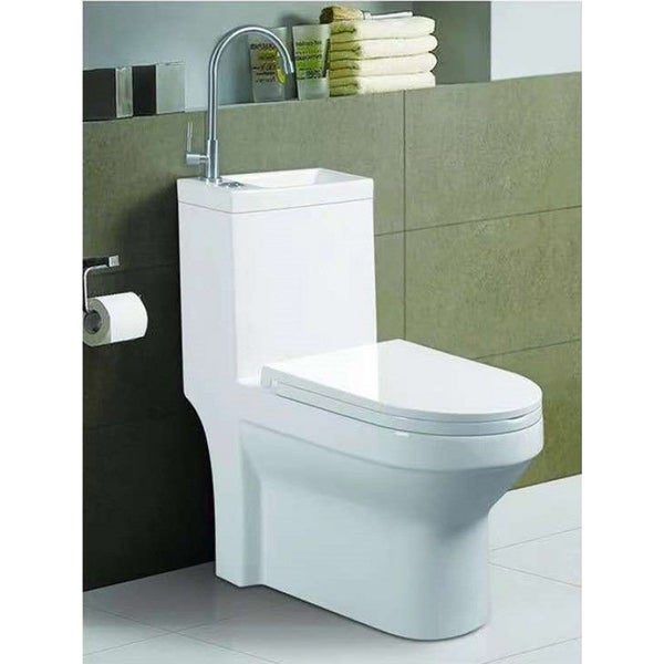 2 in 1 Toilet with Basin P pan Carousel 1