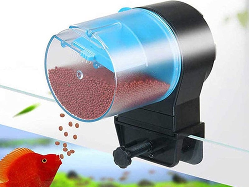 Fish Feeder Carousel 2