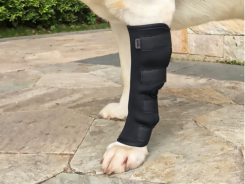Pet Knee Support Brace Dog Hock Protector Leg Compression Wrap Pad Pet Leg Care Carousel 2