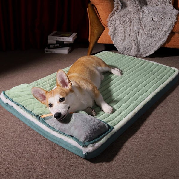 Size 67x47x4.5CM Plush and Velvet Waves Perfect Comfort Sofa-Style Dog Bed Green Carousel 1