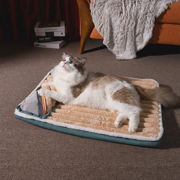 Size 67x47x4.5CM Plush and Velvet Waves Perfect Comfort Sofa-Style Dog Bed Brown Carousel 2