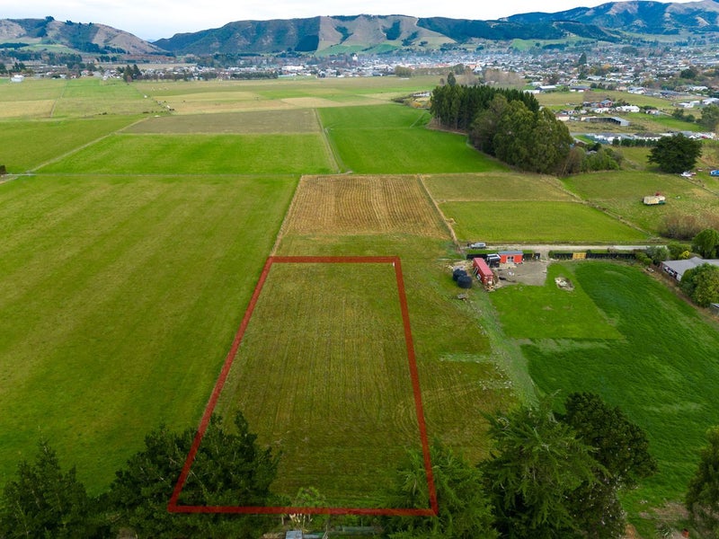 Blank Canvas with White Horse Views62863313388929112