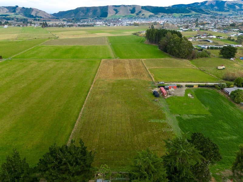 Blank Canvas with White Horse Views62863313388929113