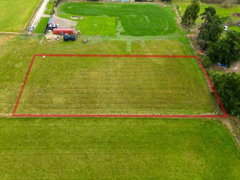 Blank Canvas with White Horse Views62863313388929114