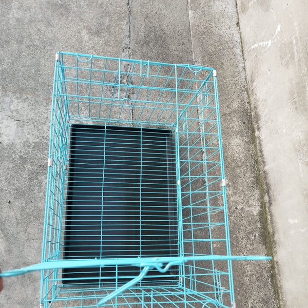 Pet Cage - 60cm Wide Collapsible Metal Pet Cage Blue63667592104193113