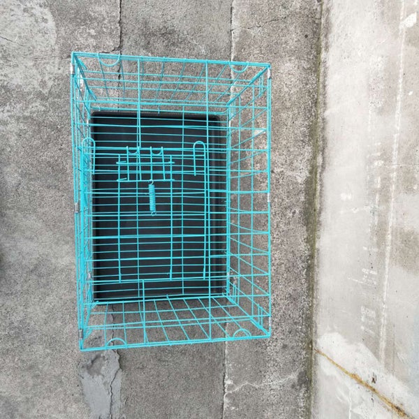 Pet Cage - 50CM Wide Collapsible Metal Pet Cage BLUE Carousel 2