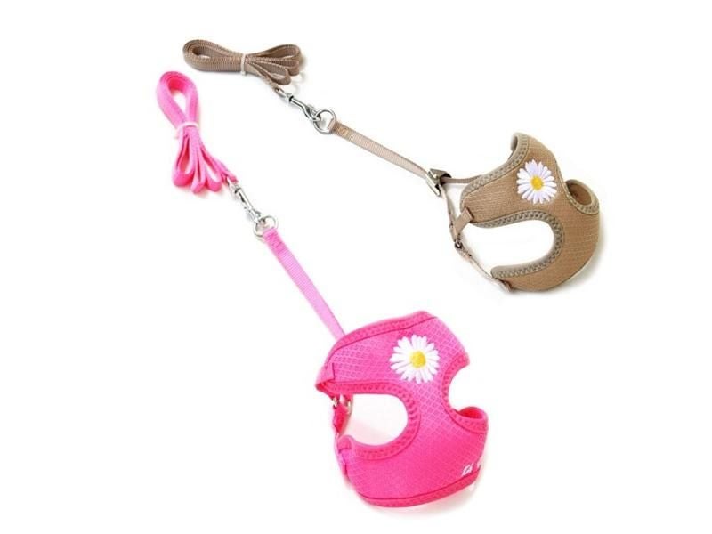 Puppy Harness Collar Cute Kitten Vest Harness Set Daisy Embroidery Cat Harness Carousel 2