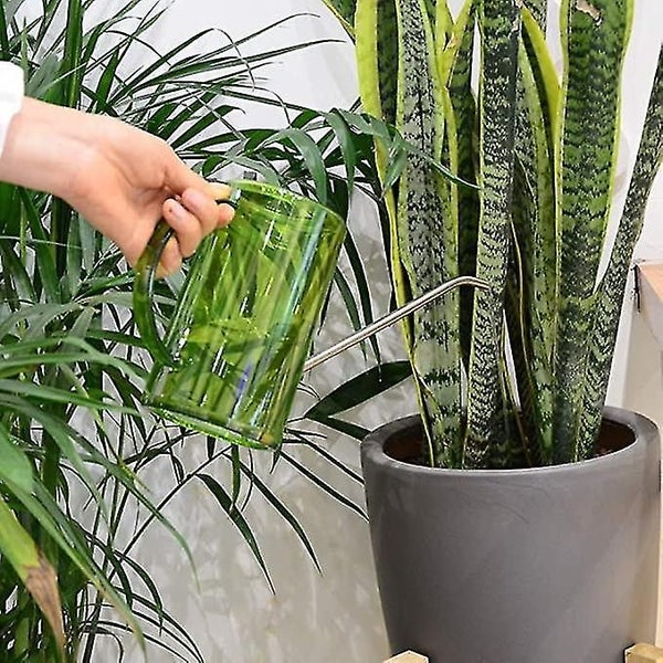 Watering Can For Indoor Plants With Long Spout Stainless Steel, 1 Liter Easy Mea Carousel 5