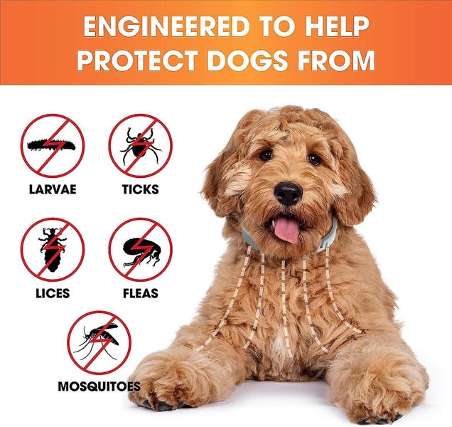 2pcs Pet Anti-mosquito Collar Anti-flea Collar Cat Dog Adjustable Insect Repelle Carousel 3