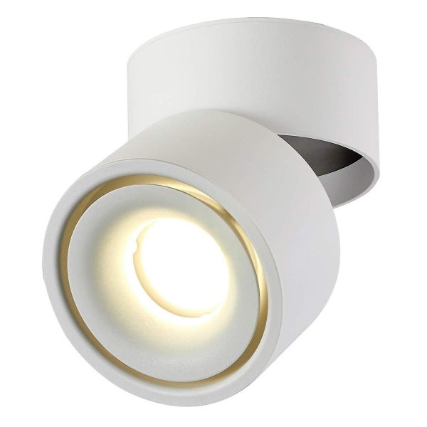 5w Led Ceiling Spotlights Ceiling Light Carousel 1