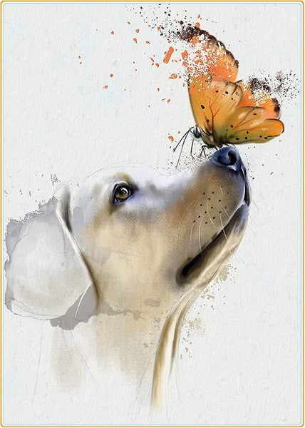 Full Diamond Painting, Puppy Butterfly Animals Diamond Painting Diy 5d Mosaic Pa Carousel 1
