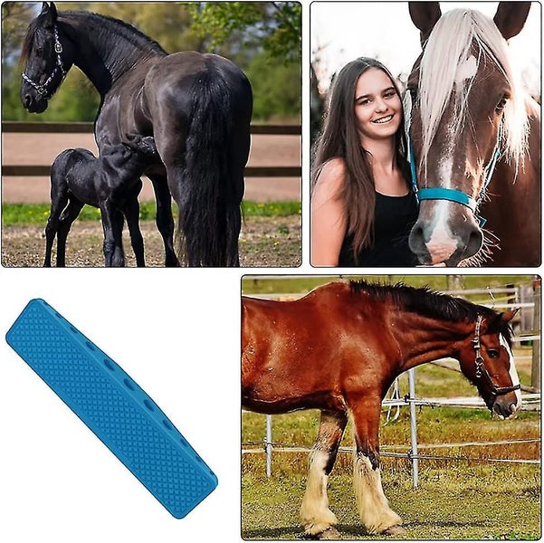 Horse Grooming Brush, Horse Grooming Massager, 6 In 1 Pet Grooming Brush, (color Carousel 3