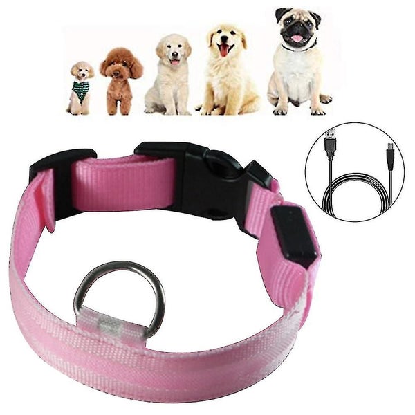 Led Dog Collar Battery Operated Makes Your Dog Visible Safe & Seen Carousel 2