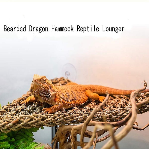 Reptile Lizard Bearded Dragon Hammock Reptile Hermit Toys Accessories 2 Pcs Carousel 5