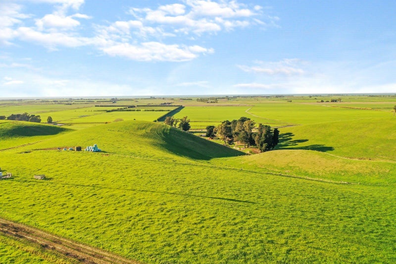 Waimate Rural properties Trade Me Property
