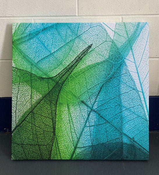 Green Leaves Canvas Art Print62854319224067111