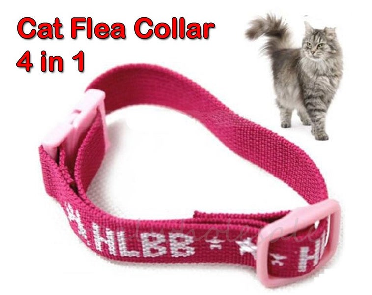 Hlbb flea cheap collar