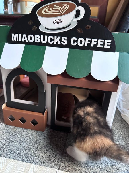 Cardboard Cat House Super popular cat house Carousel 11