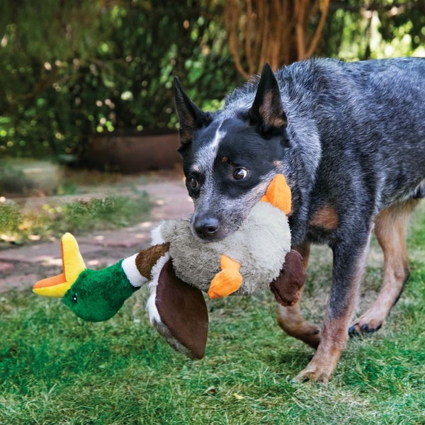 DOG TOY - KONG SHAKERS HONKERS DUCK - SMALL 25cm Carousel 2