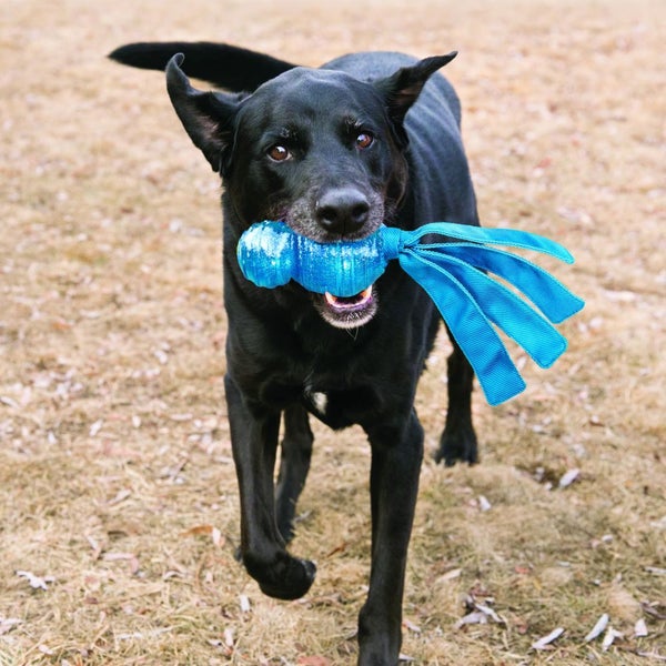 DOG TOY - KONG WUBBA COMET - SMALL Carousel 5
