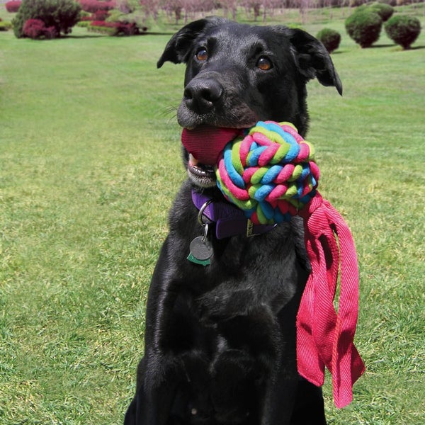 DOG TOY - KONG WUBBA WEAVE - XTRA LARGE Carousel 5