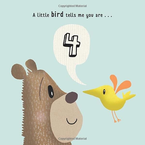 WOW! You're Four birthday book Carousel 3