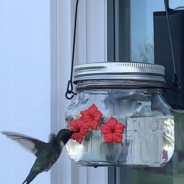 Mini Bird Feeder Bird Cage Food & Water Dishes Carousel 1