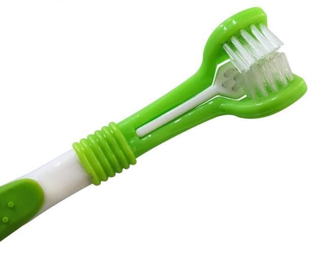 Pet Toothbrush and Toothpaste Set Teeth Cleaning Carousel 2