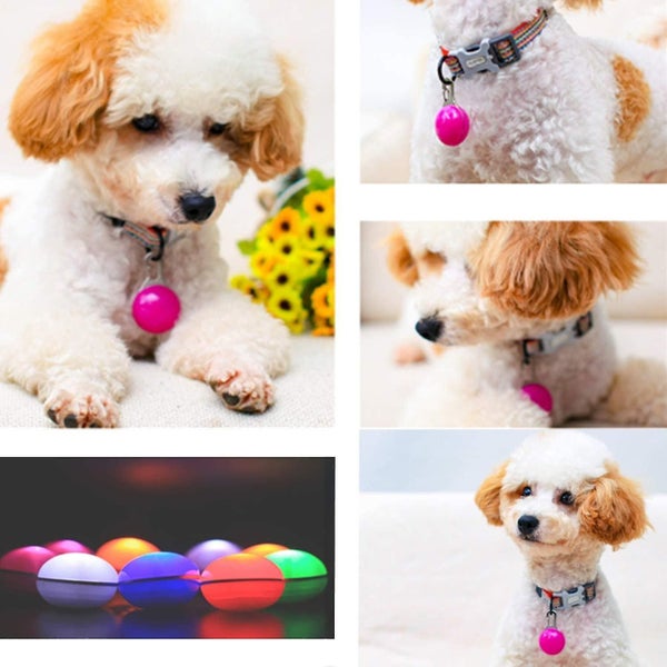Luminous Dog Collar, Luminous Dog Collar, Colorful Dog And Cat Luminous Collar, Carousel 4