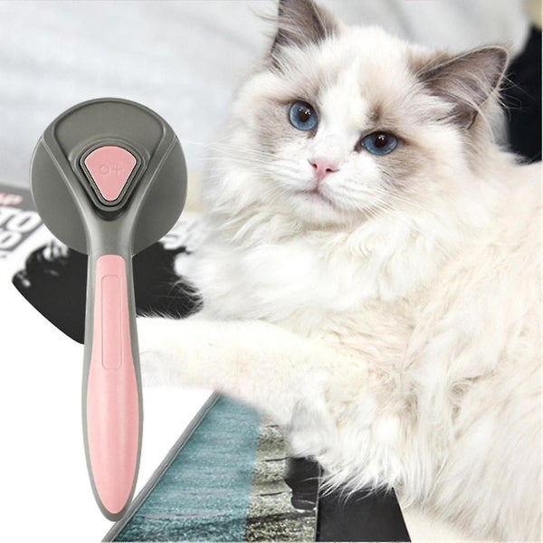Parkway Pet Cat Brush Carousel 2