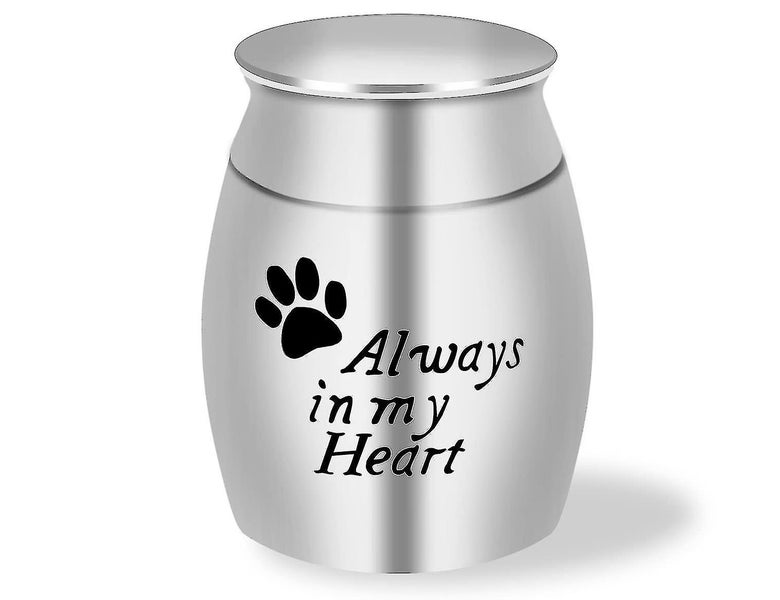 Small Cremation Pet Urn Funeral For Pet Ashes Durable Keepsake Urns For Ones Bel Carousel 1