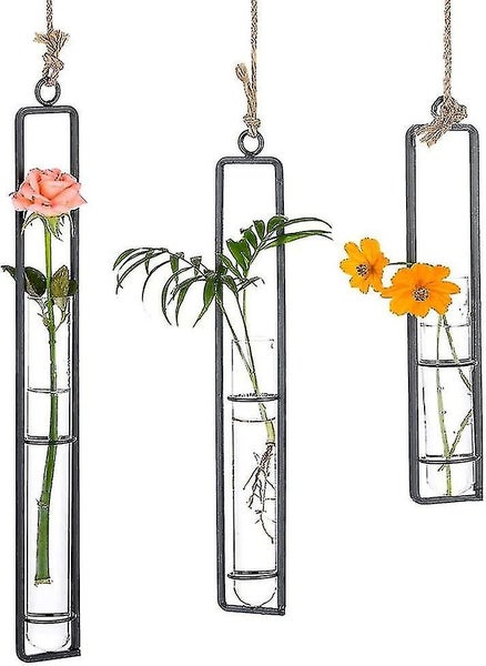 Set Of 3 Hanging Planter Terrarium, Metal Iron Clear Glass Test Tube Flower Vase Carousel 1