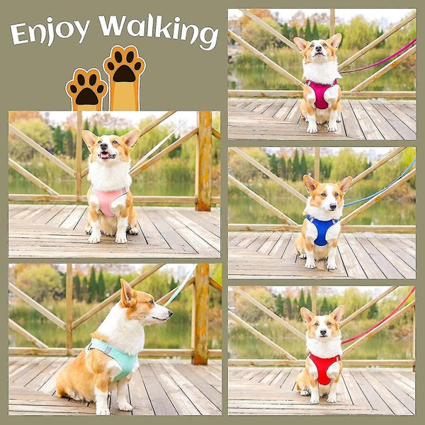 Step-in Faux Suede Dog Harness And Leash Set - Soft Breathable Faux Suede Fabric Carousel 5