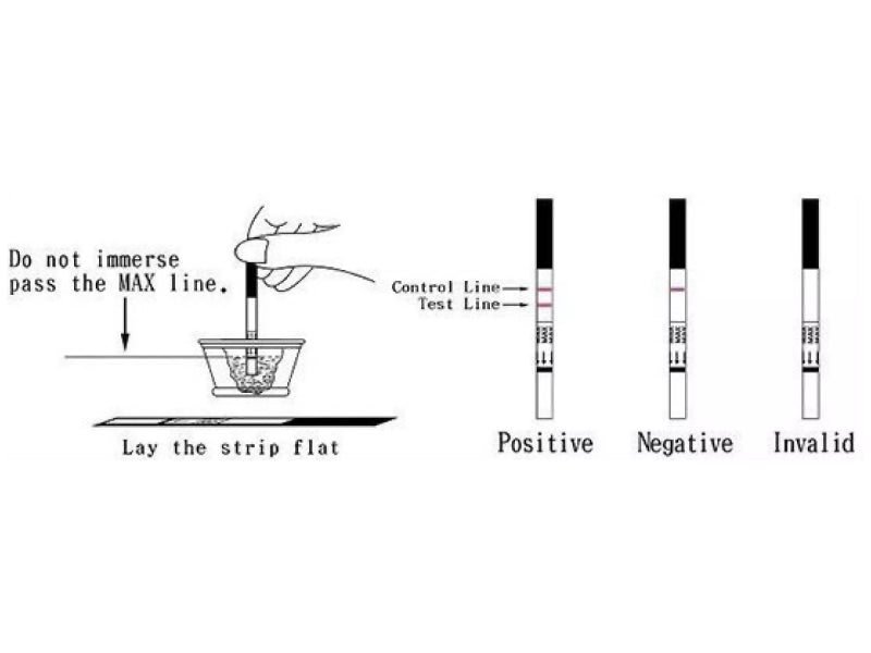 5Pcs One Step Urine Pregnancy Test Strips Carousel 2