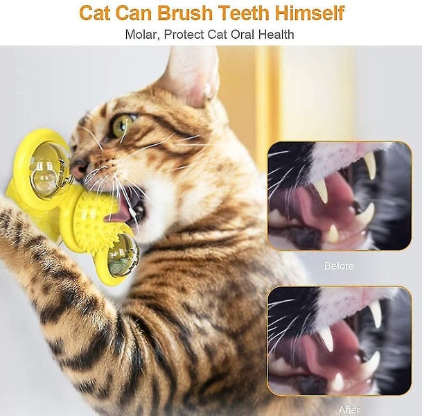 Cat Game, Fun, Promotes Dental Health And Provides Exercise. With A Colorful Spr Carousel 2