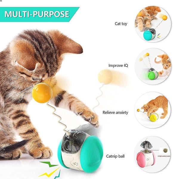 Cat Toys For Indoor Cats, Cat Treat Toy, Balance Car Design With Catnip Iq Train Carousel 1