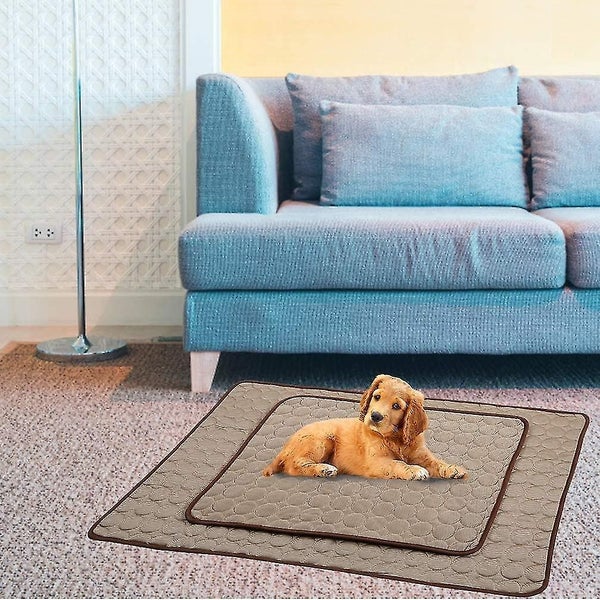 Cooling Mat For Dogs Cats, Dog Cooling Pad Dog Cooling Supplies Carousel 2