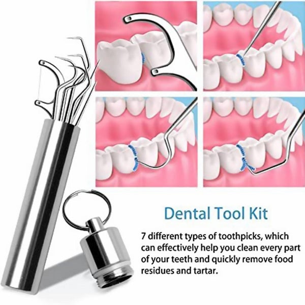 Stainless Steel Toothpicks Set 7pcs Reusable Metal Toothpicks For Outdoor Use Carousel 2