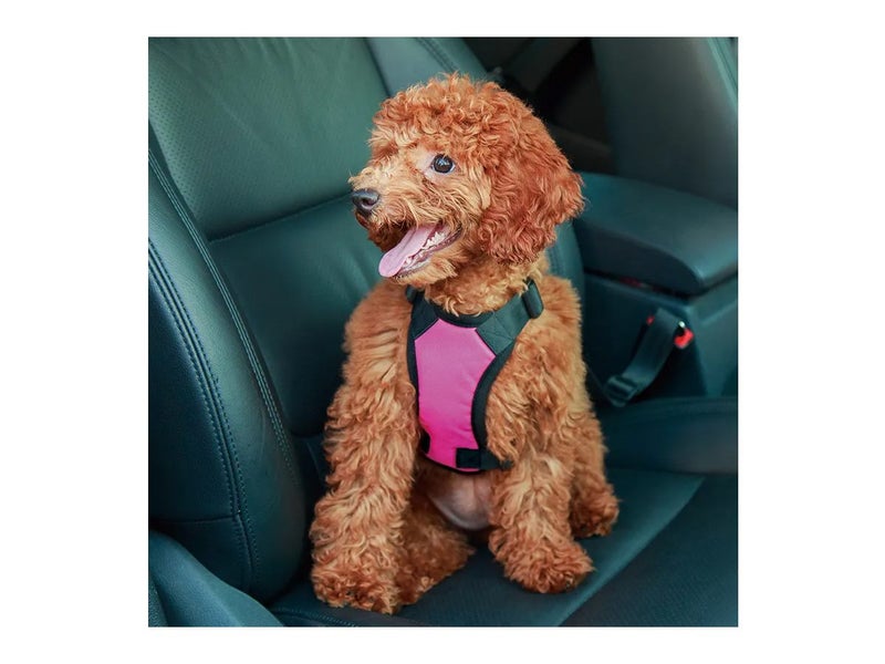 Dog Accessories Car Harness NZ Clearance Carousel 2