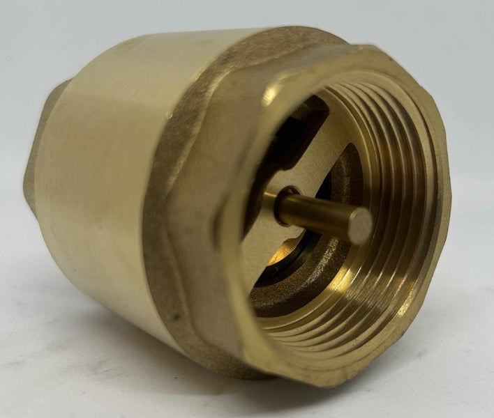 1 1/4" (32mm) Brass Spring Check Valve Carousel 2