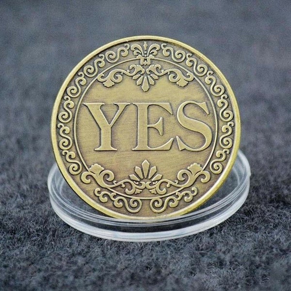 NEW Lucky Coin Bronze embossed YES or NO Collection Gold Coins Carousel 1