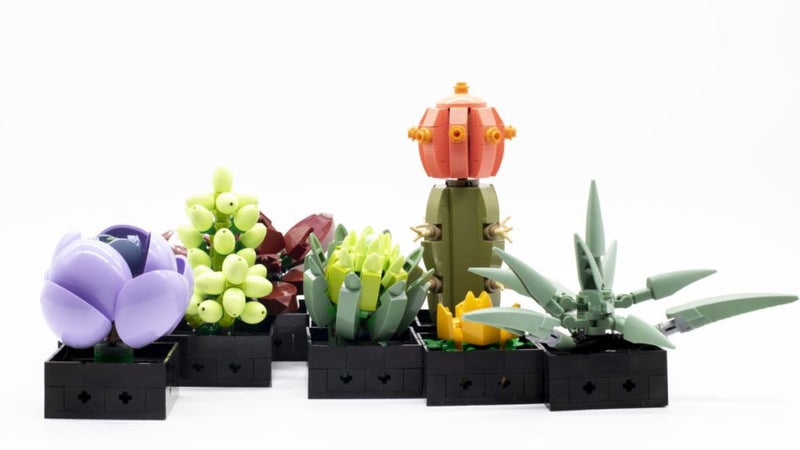 LEGO Creator 10309 Expert Succulents + AfterPay Carousel 6