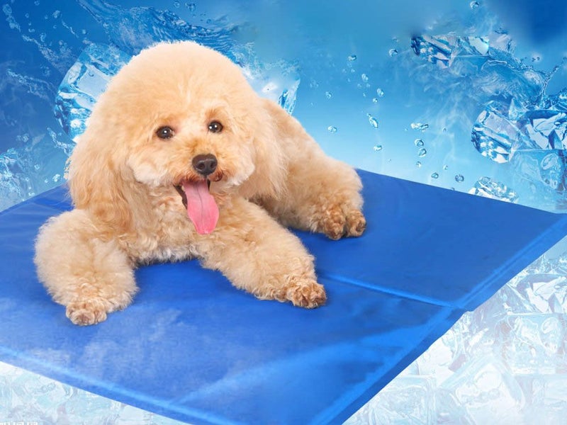 Pet Cooling Mat (OVER STOCKED) Carousel 1