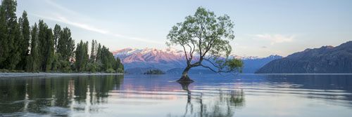 Rokit Wall Art Lake Wanaka,Tree and Alps Giclee Canvas Print Carousel 2