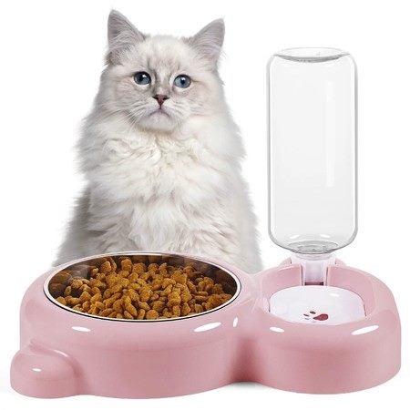 Dog Cat Bowls Pet Water Food Bowl Set Carousel 1