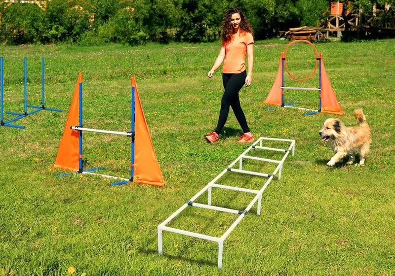 Dog Agility Training Equipment Carousel 2