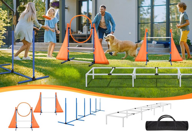 Dog Agility Training Equipment Carousel 1