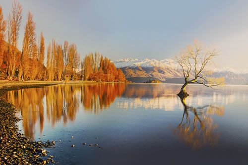Rokit Wall art Wanaka Lake &Tree in Autumn. Extra Large Canvas Carousel 2